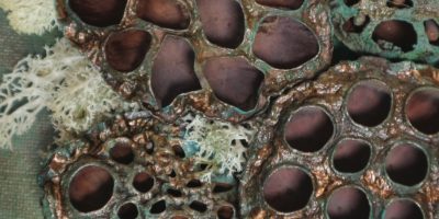 <b>Nature meets Art<br>Sandra Dittert</b><br>02-11 bis 22-11-2023