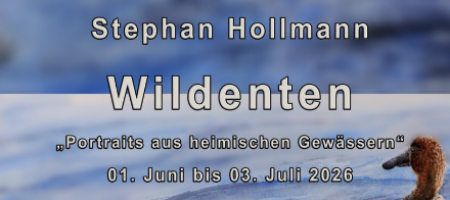 <b>„Wildenten“<br>Stephan Hollmann</b><br>01-06 bis 03-07-2026