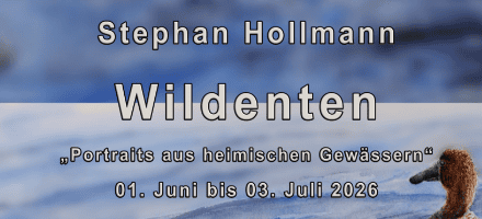 <b>"Wildenten"<br>Stephan Hollmann</b><br>01-06 bis 03-07-2026